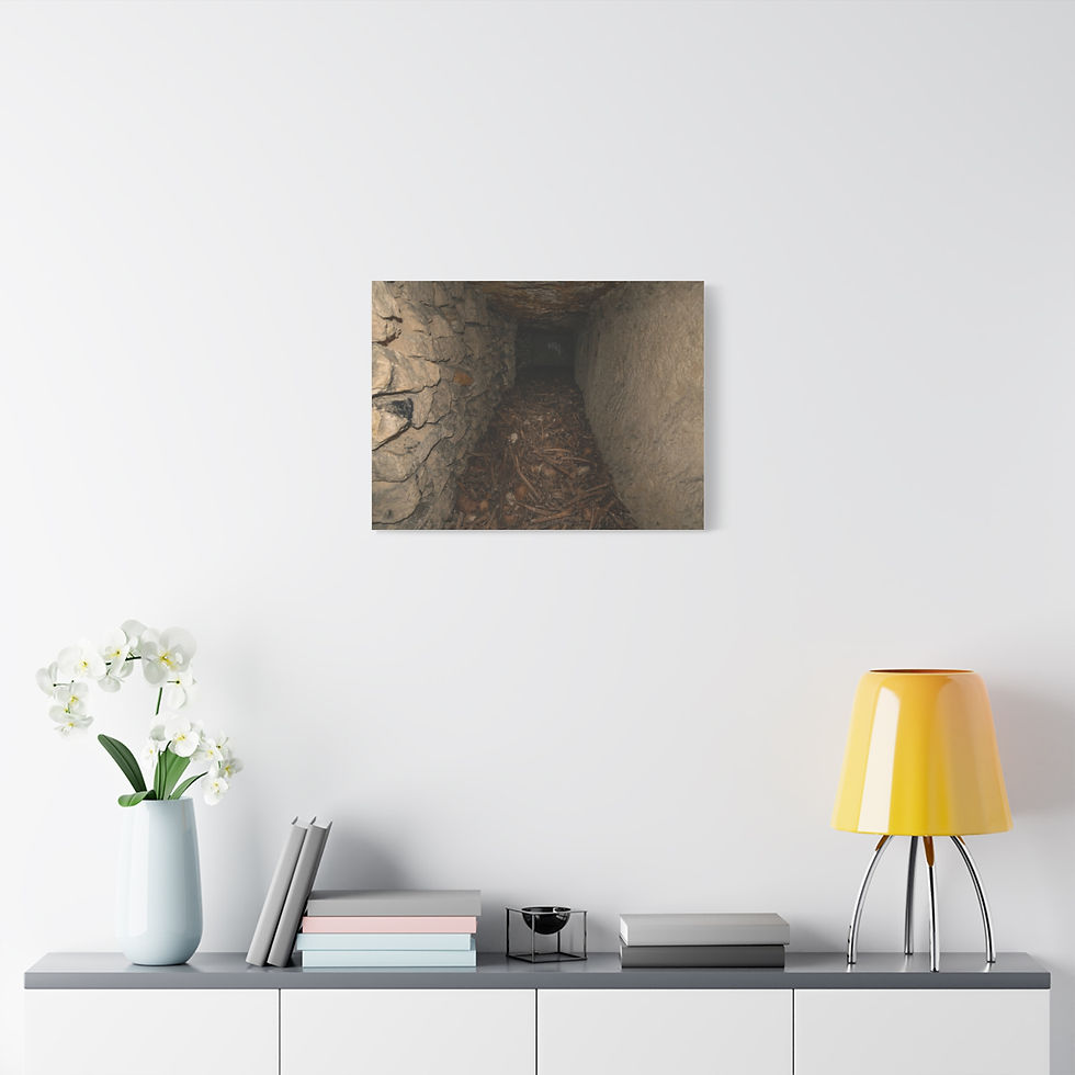 Thumbnail: Canvas print showing a dark, narrow, ancient-looking earthen tunnel.