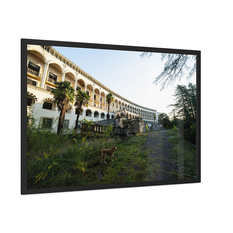 Thumbnail: Abandoned curved sanatorium building, overgrown path, trees under clear sky.
