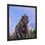 Thumbnail: Framed Poster - Mother & Baby Monkey in Bali