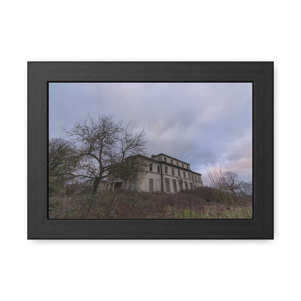 Thumbnail: Abandoned historic building on a hill under an overcast sky with bare trees.