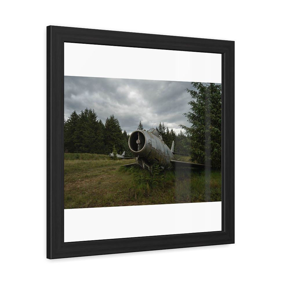 Thumbnail: Abandoned jet fuselage decaying in an overgrown field under cloudy sky.