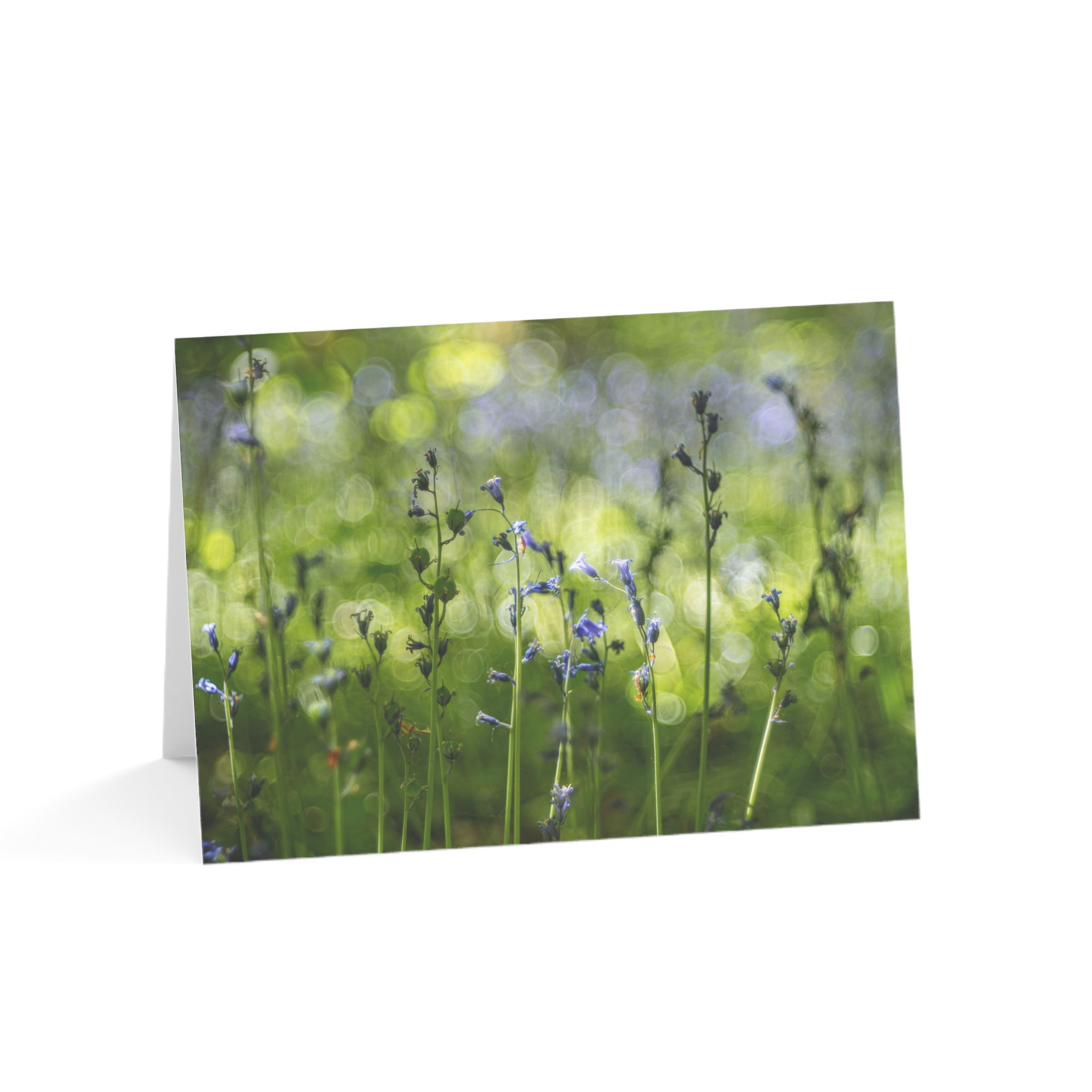 Bluebells in Sussex | Spring Nature Design | Greeting Card Pack of 1, 10, 30, 50