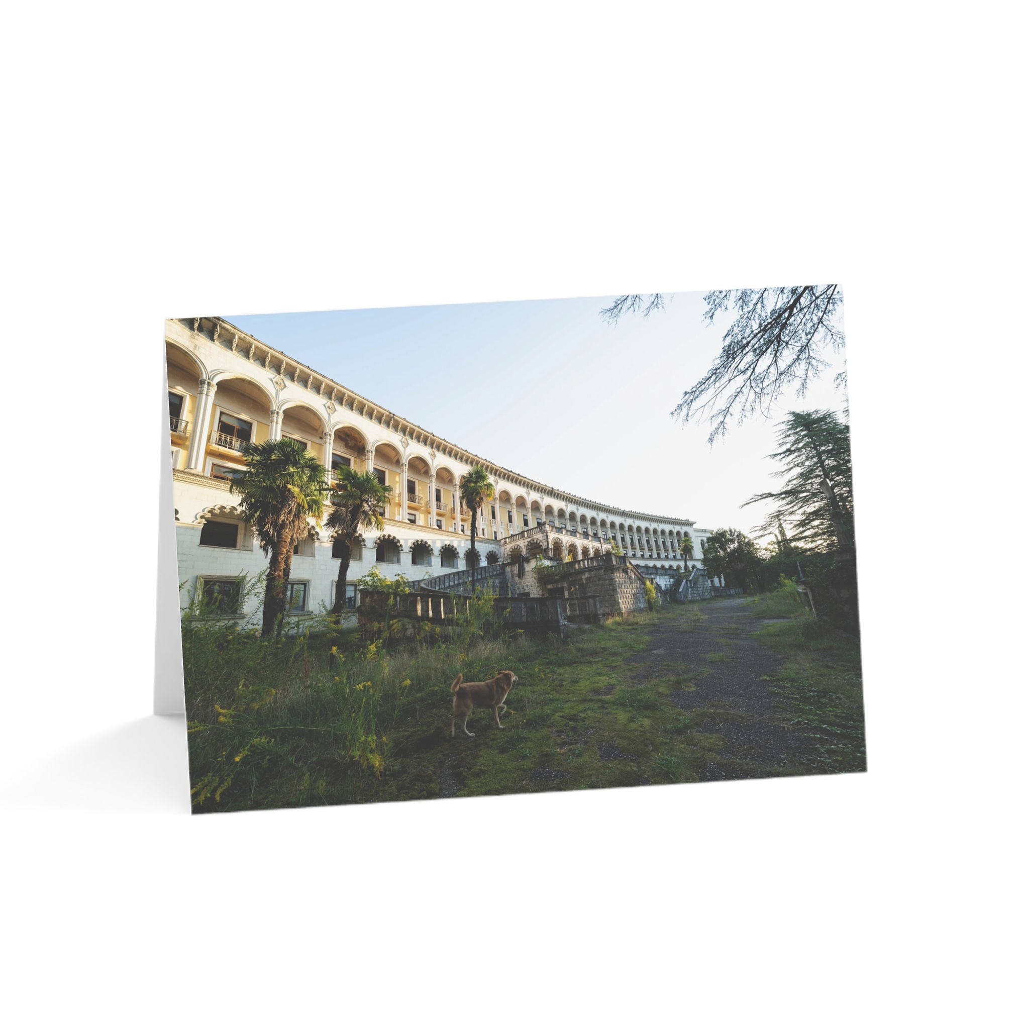 Abandoned Sanatorium in Tskaltubo | Greeting Cards - Pack of 1, 10, 30 or 50