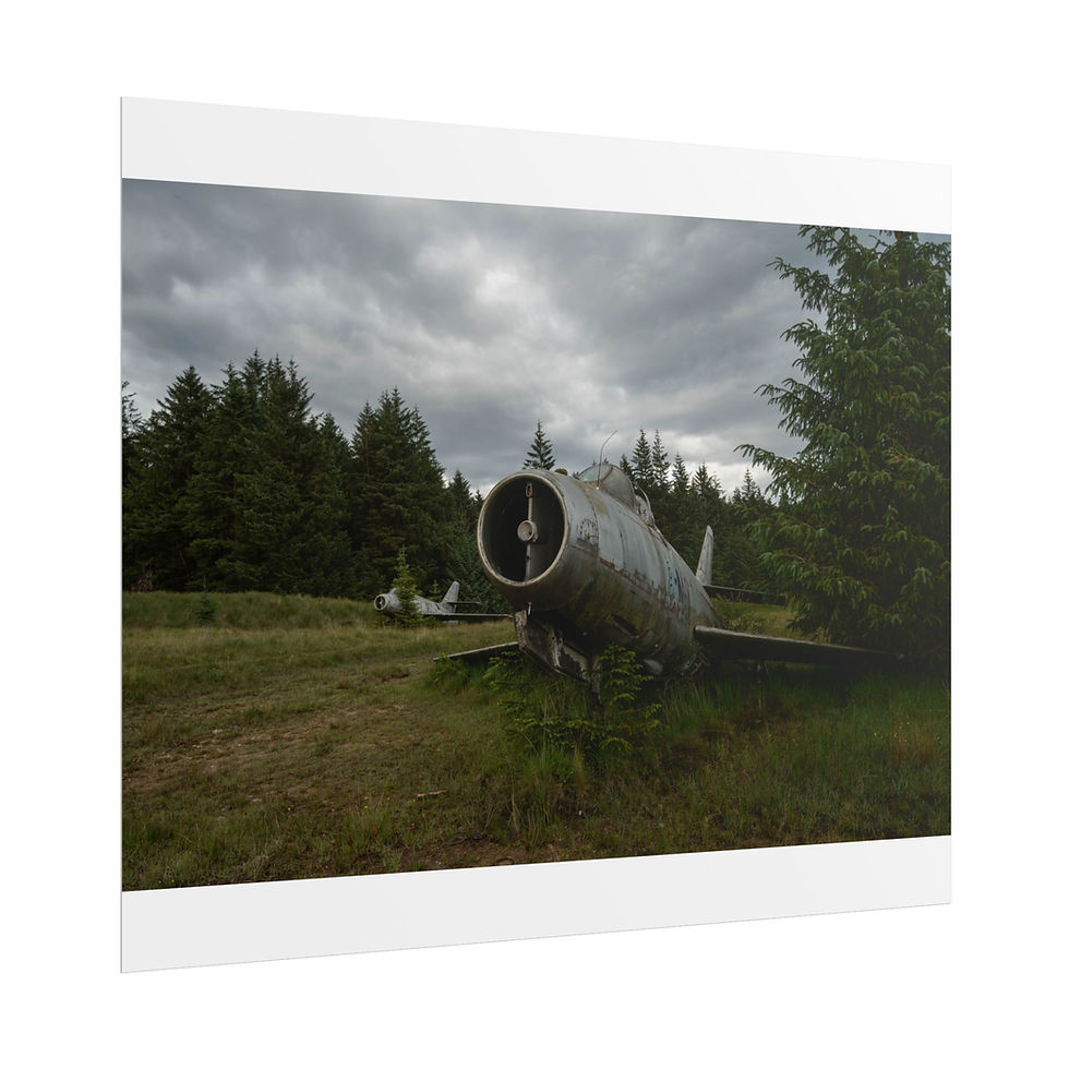 Thumbnail: Abandoned jet plane wreck rusting in overgrown field under cloudy sky.
