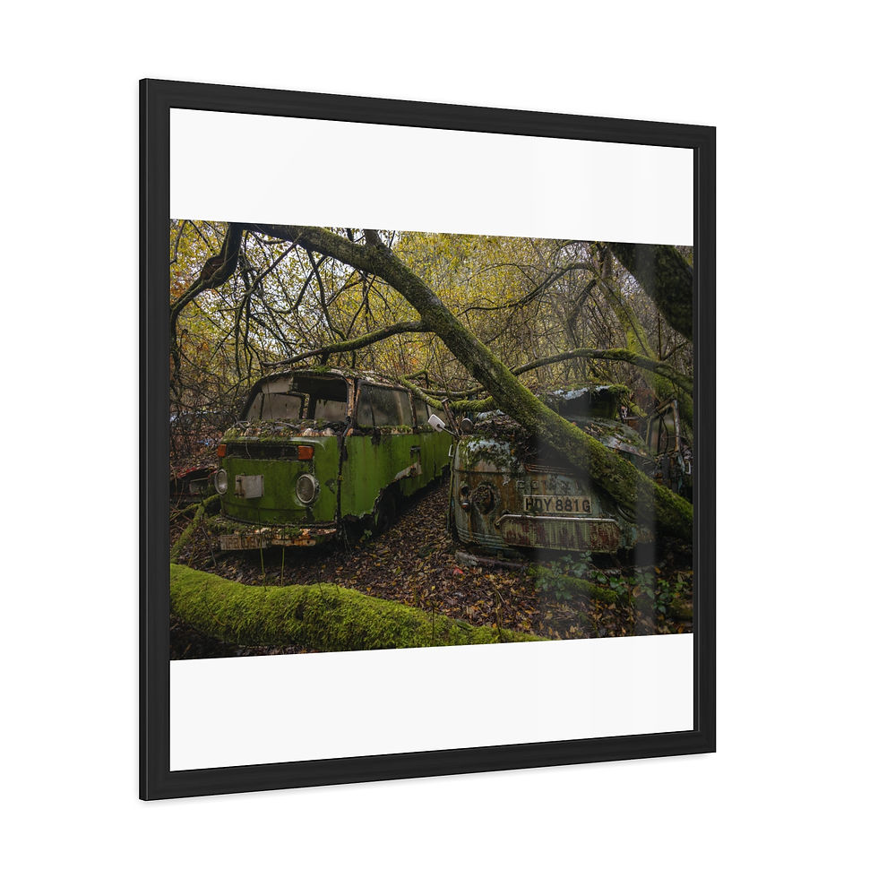 Thumbnail: Abandoned mossy green vans decaying in a dense, overgrown forest.