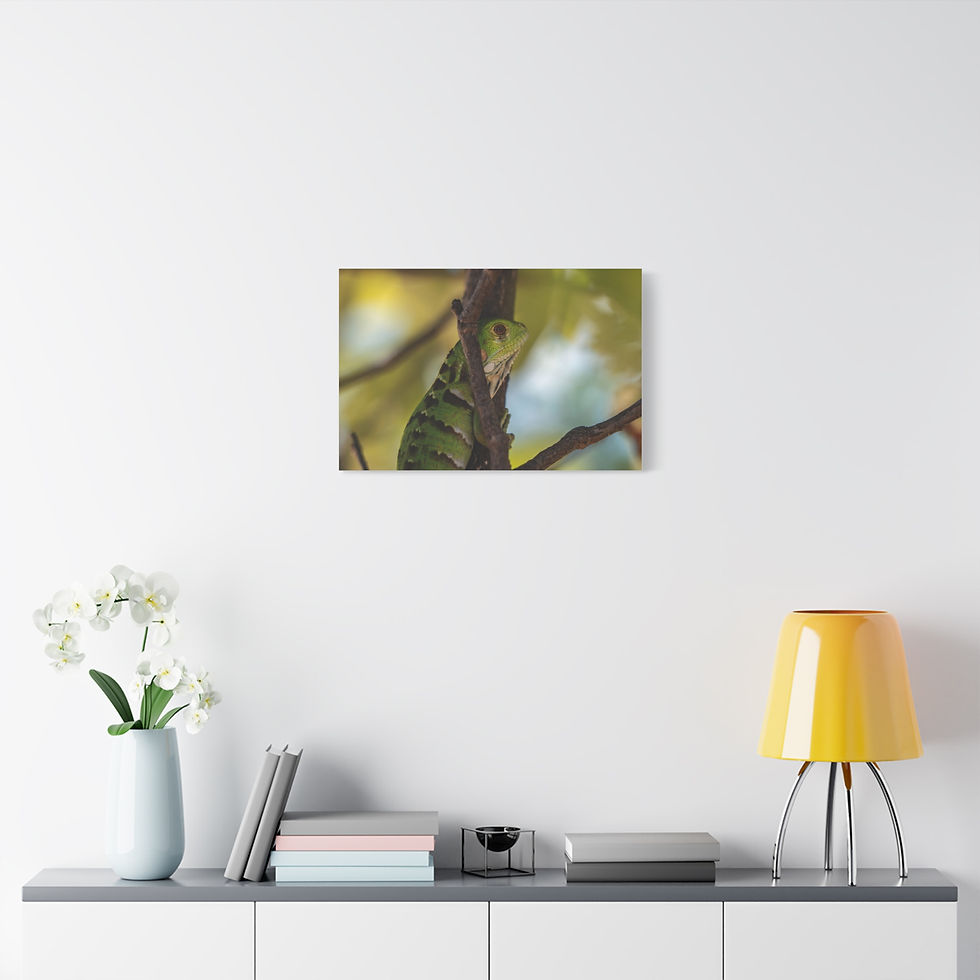 Thumbnail: Canvas print displaying a sloth camouflaged among green tree branches.