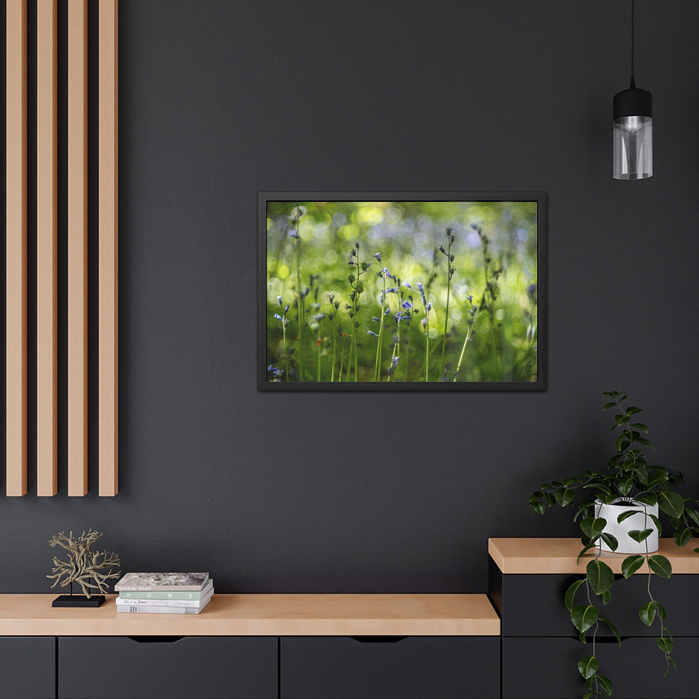 Thumbnail: Bluebells Framed Print | Laughton Woods East Sussex | Woodland Flower Wall Art