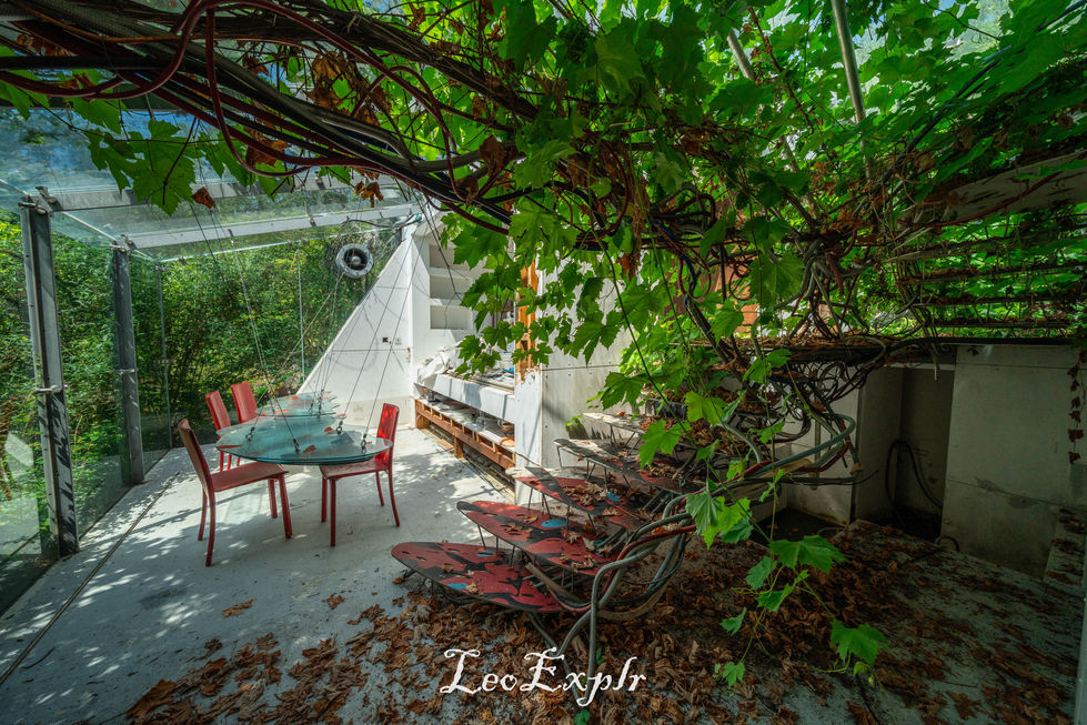 A sunlit conservatory with a table and red chairs alongside a staircase underneath a lush green vine canopy. Leaves scatter the ground, adding a rustic, serene atmosphere. Abandoned Butterfly House in Surrey.