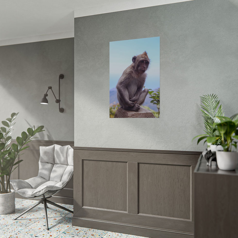 Thumbnail: Poster of a monkey sitting on a rock in a modern room.