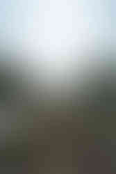 Rooftop view of Batumi