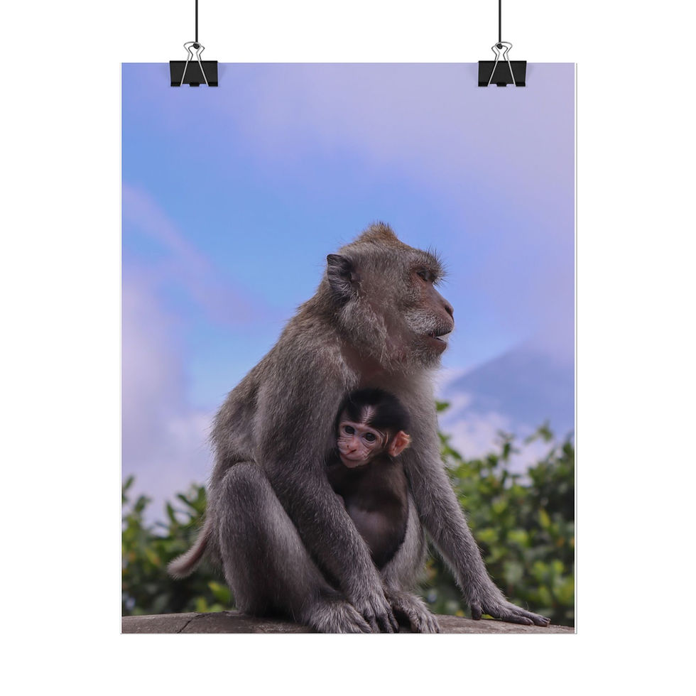 Thumbnail: A mother monkey cradles her baby against a scenic mountain backdrop.