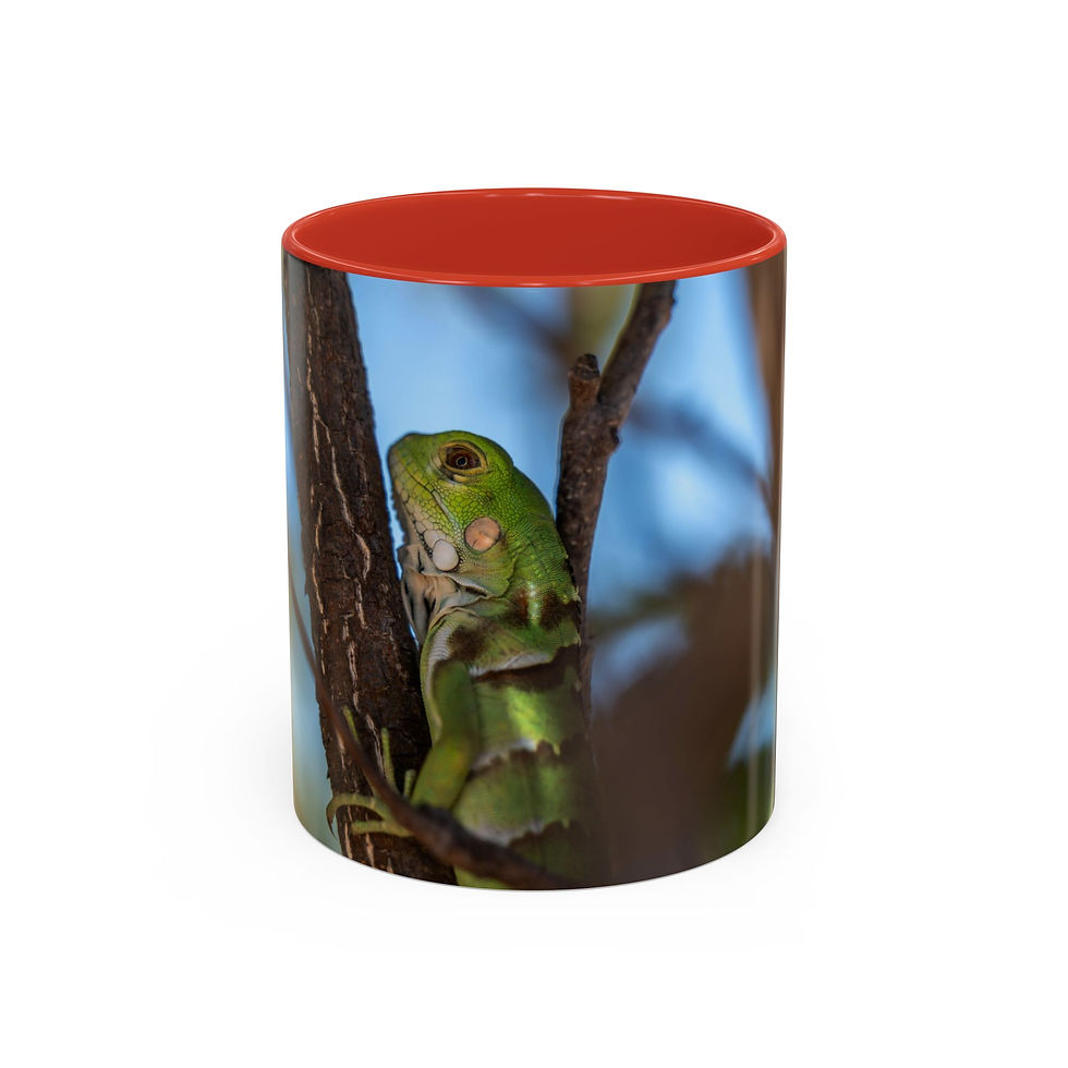 Thumbnail: Coffee Mug - Young Green Iguana in Tree | Tropical Amazon Wildlife Ceramic Mug