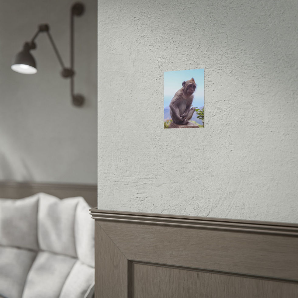 Thumbnail: Art print of a sitting monkey displayed on a white wall.