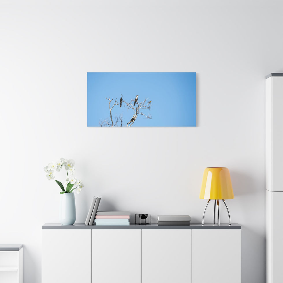 Thumbnail: Canvas print of small birds on branches against a blue sky.
