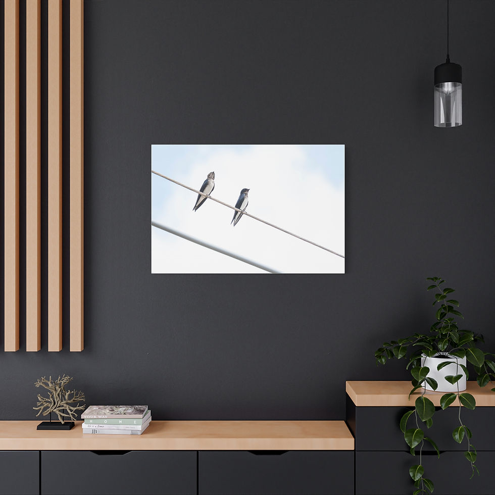 Thumbnail: Two birds on a wire framed wall art in modern room.