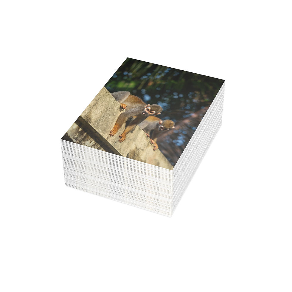 Thumbnail: Cheeky Squirrel Monkeys in Brazil | Greeting Cards - Pack of 1, 10, 30 or 50