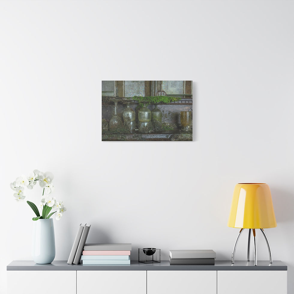 Thumbnail: Three glass jars holding green plants in front of an old window.