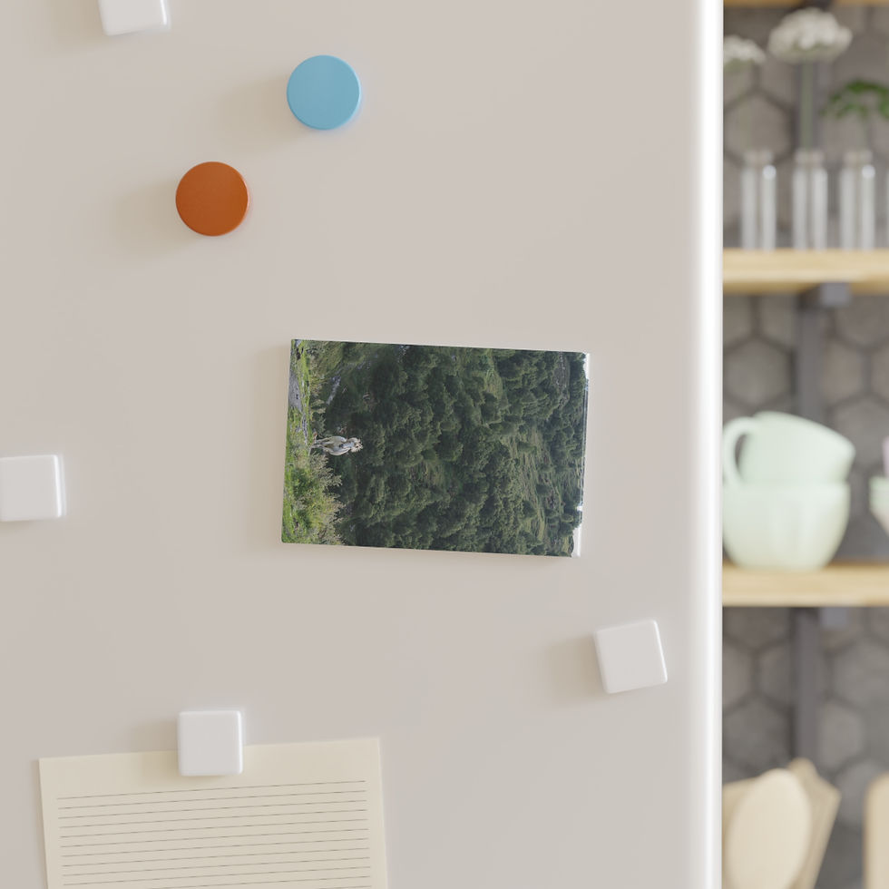 Thumbnail: Magnet | Grey Horse in the Mountains of Kazbegi, Georgia Travel Souvenir