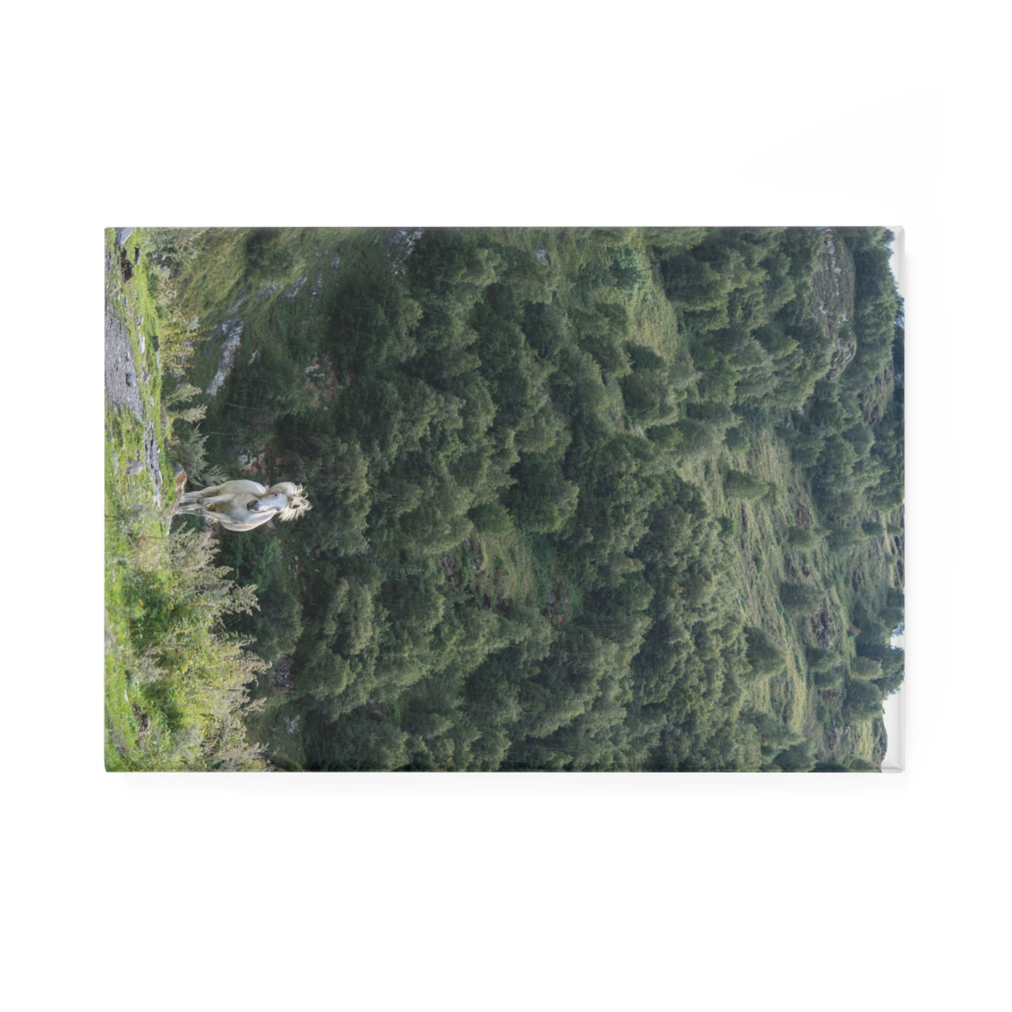 Magnet | Grey Horse in the Mountains of Kazbegi, Georgia Travel Souvenir