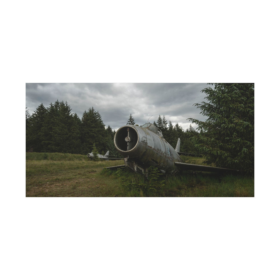 Thumbnail: Derelict jet engine airplane in a grassy field surrounded by trees, cloudy sky.
