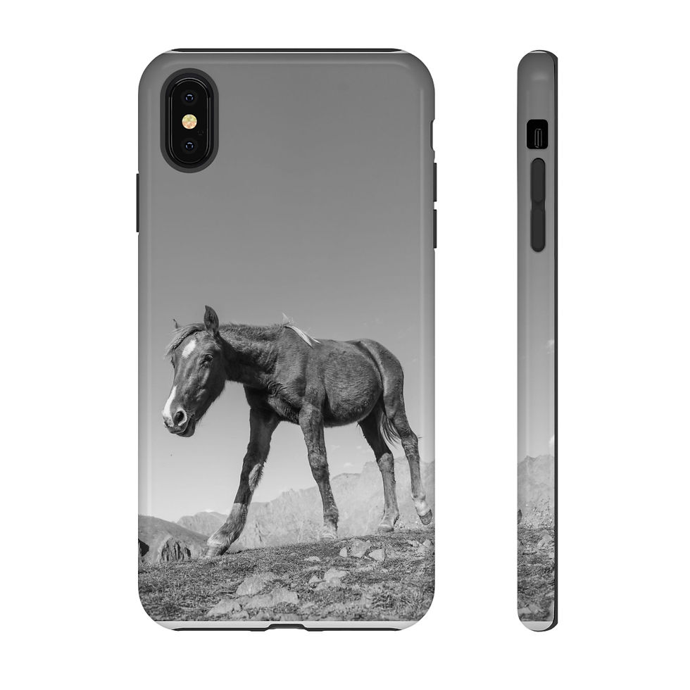 Thumbnail: Black and white horse walking on rocky terrain phone case.