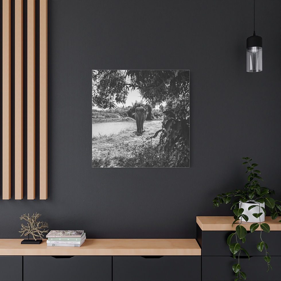 Thumbnail: Monochrome canvas print showing elephant by water, shaded by trees.