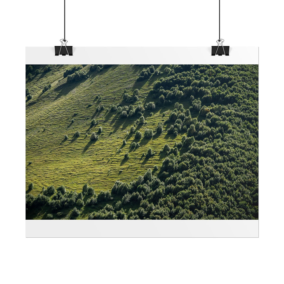 Thumbnail: Poster Print | Sunlit Caucasus Mountainside Woodland Landscape, Georgia