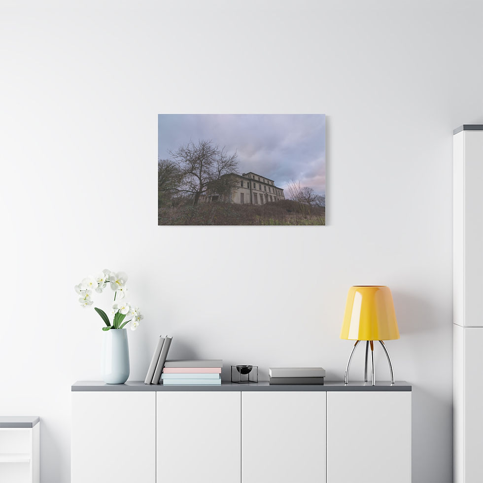Thumbnail: Canvas print showing an old building with bare trees under a cloudy sky.