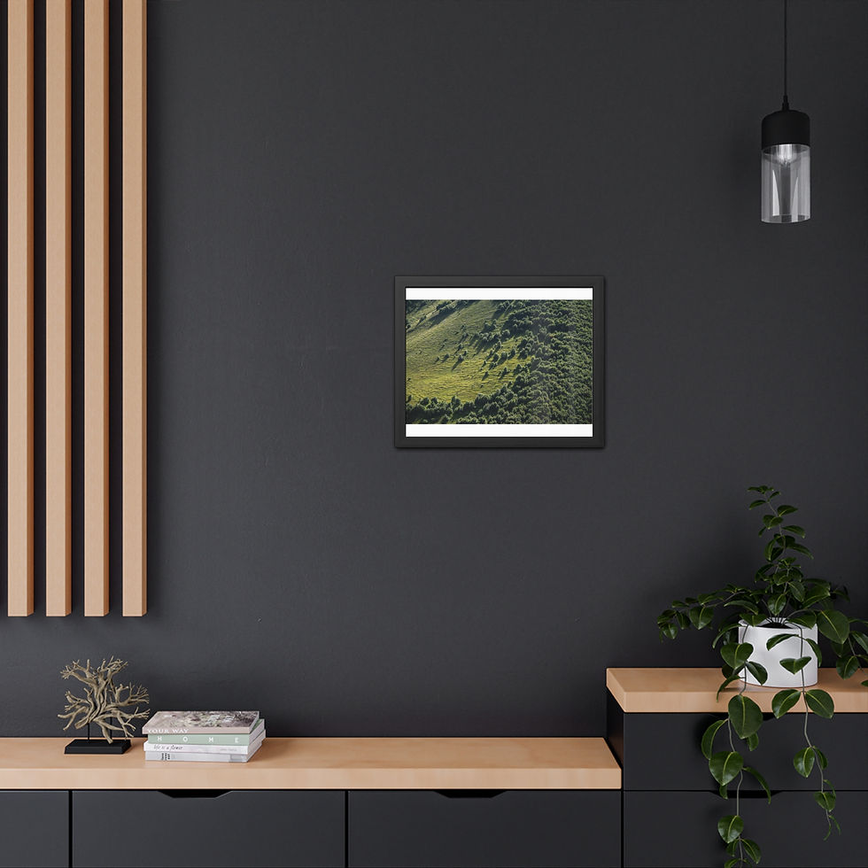 Thumbnail: Framed Print | Sunlit Caucasus Mountainside Woodland Landscape, Georgia