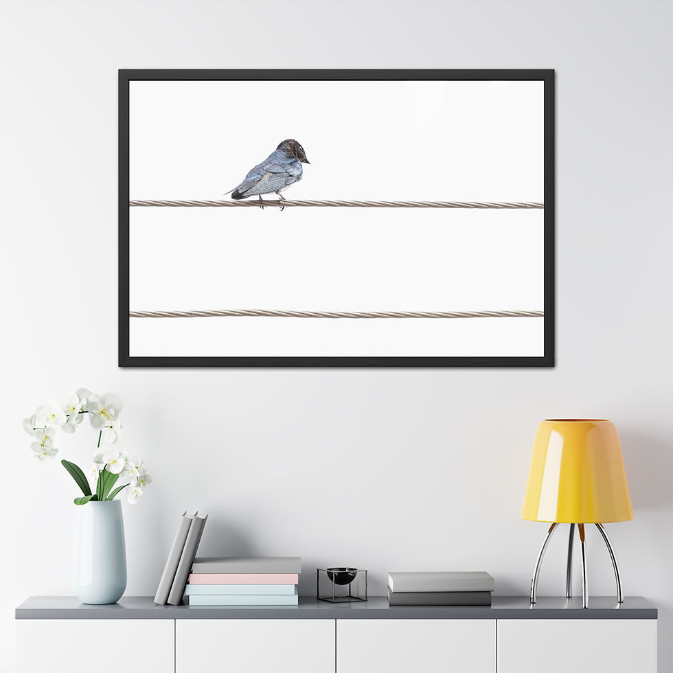 Thumbnail: Framed print of small bird on a wire, above modern console table.