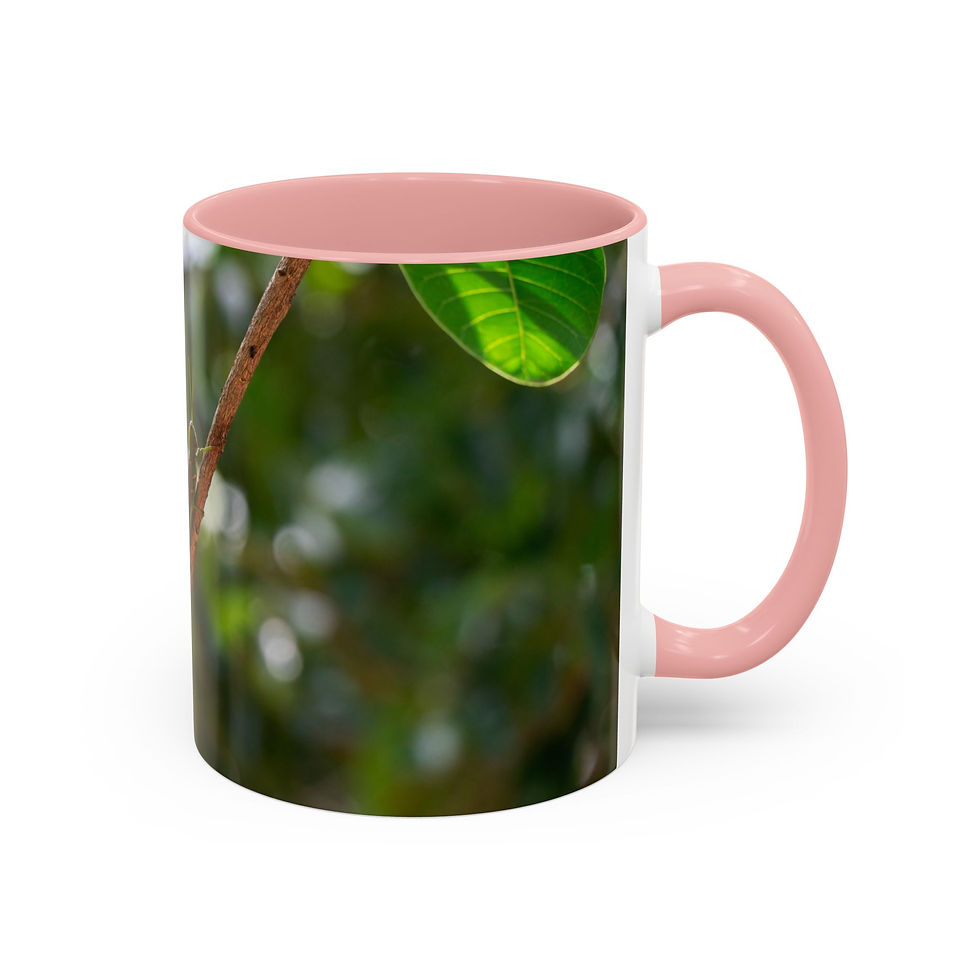Thumbnail: Coffee Mug - Amazon Rainforest Grasshopper | Wildlife Ceramic Mug