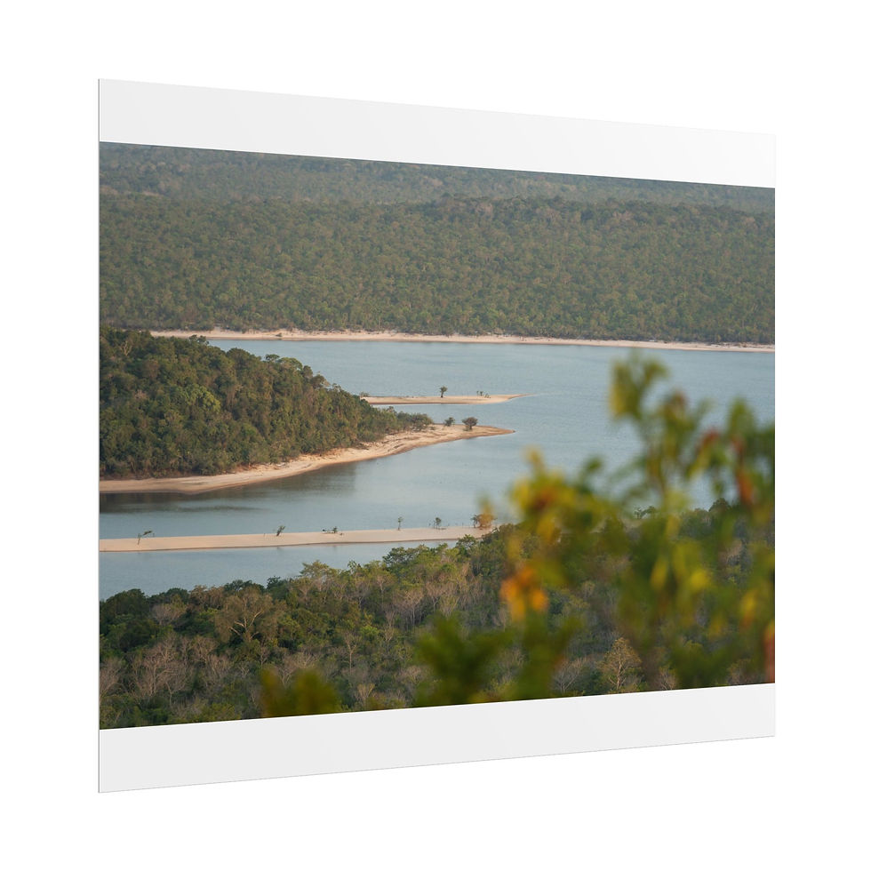 Thumbnail: Winding river through dense green jungle with narrow sandy spits.