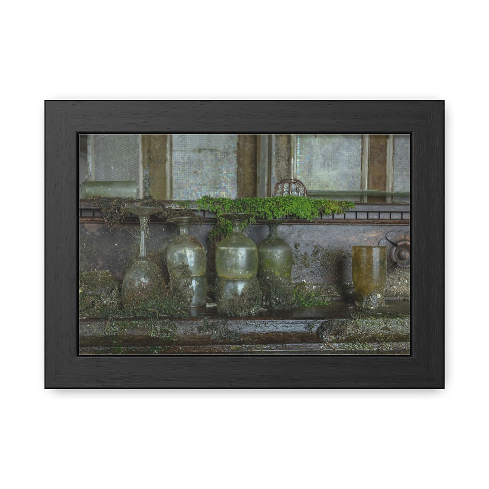 Thumbnail: Framed photograph of moss-covered, decaying glass bottles on a weathered shelf.