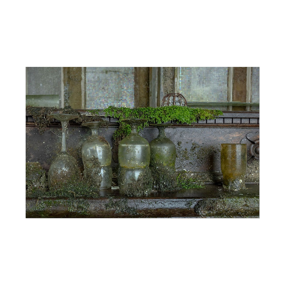 Thumbnail: Moss-covered antique glass bottles and goblets on a weathered shelf.