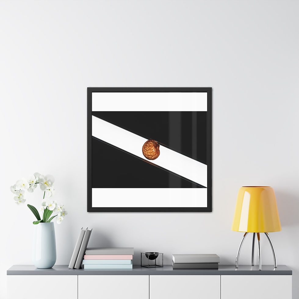 Thumbnail: Framed abstract art, black and white diagonal stripes, brown seed.