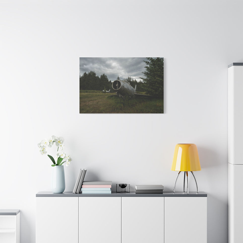 Thumbnail: Canvas print of rustic abandoned plane in a field under cloudy sky.