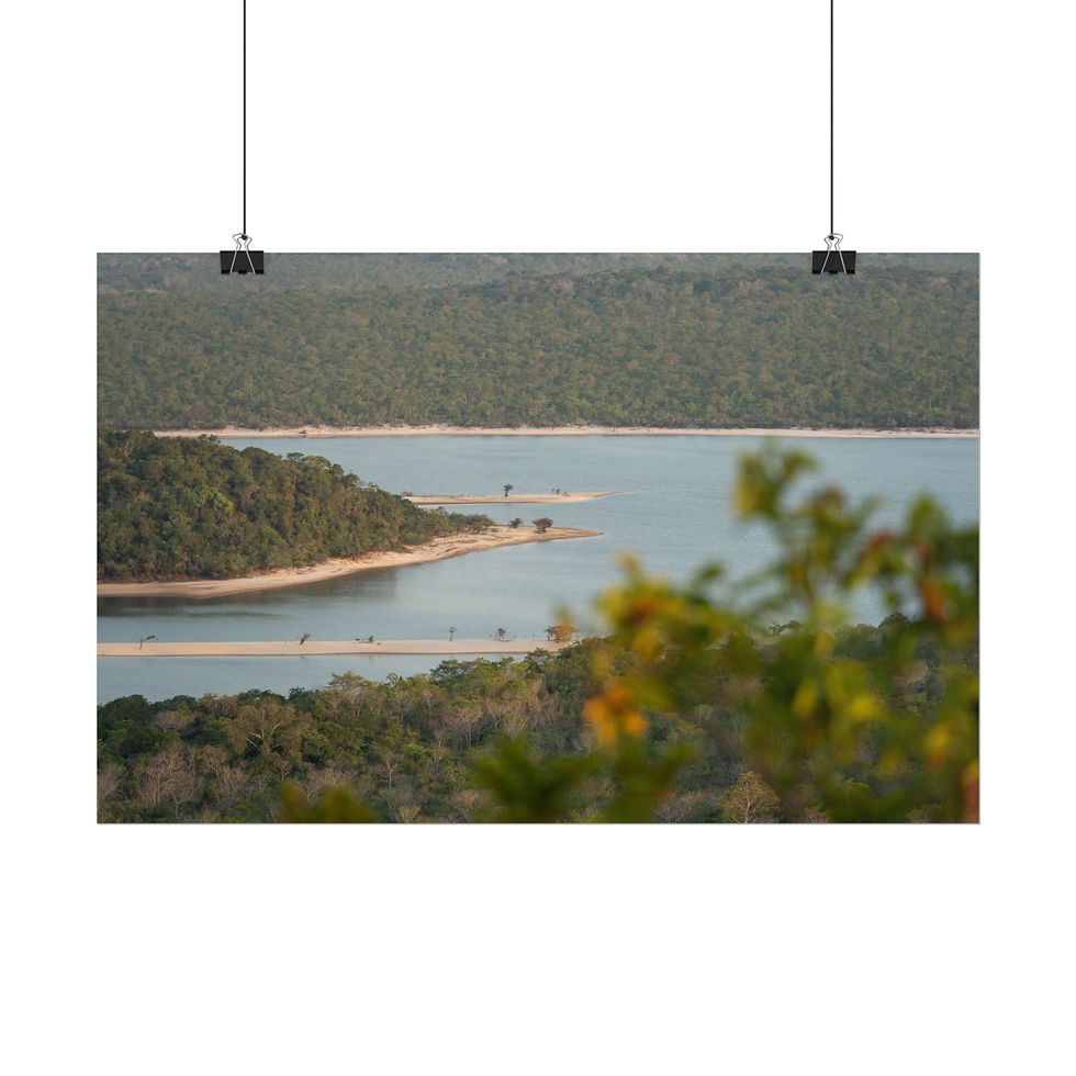 Thumbnail: Scenic landscape of a calm lake winding through dense green forests.