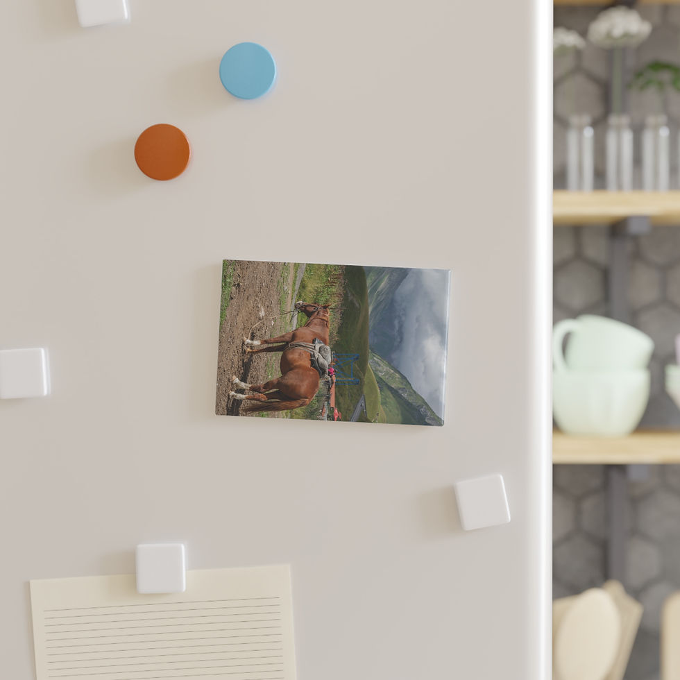 Thumbnail: Magnet | Horse in the Caucasus Mountains, Georgia Travel Souvenir