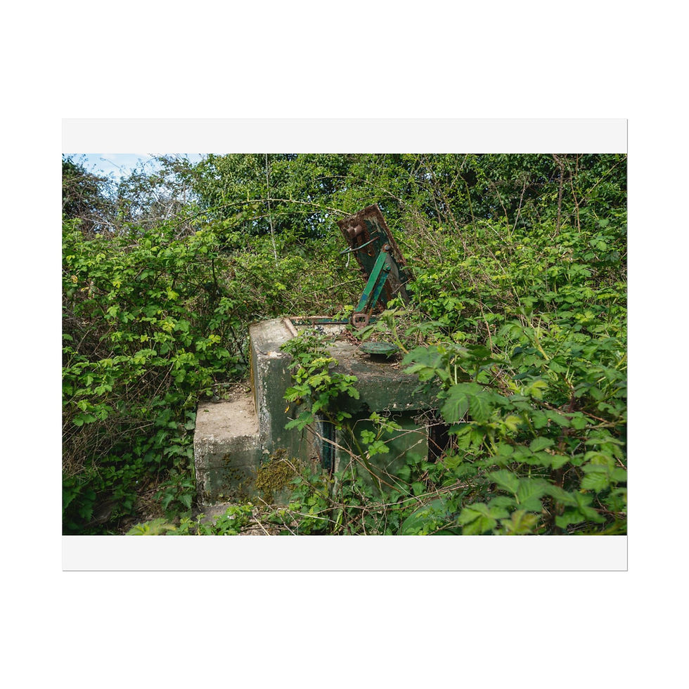 Thumbnail: Poster Print | Horsham ROC Post - Abandoned Urbex Wall Art