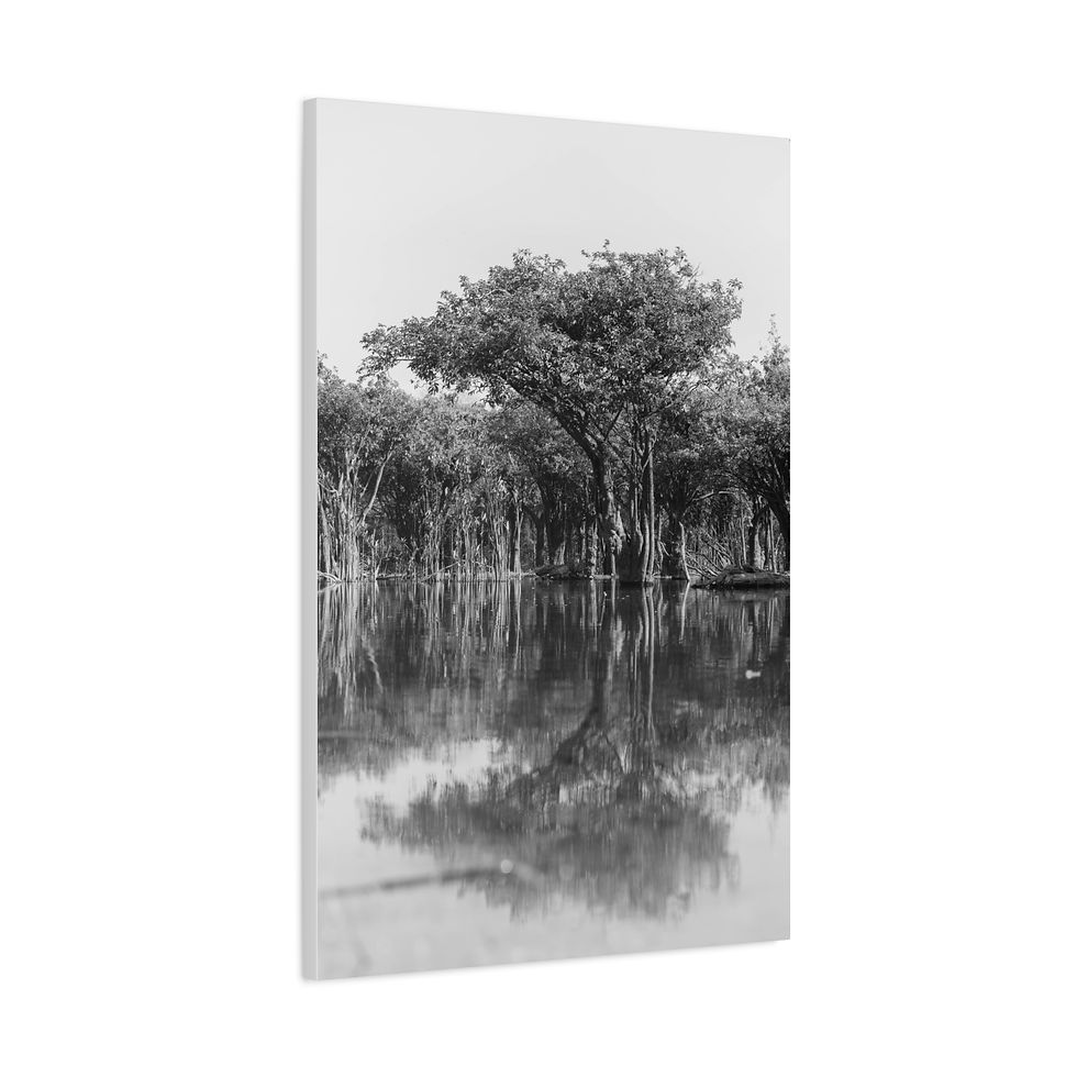 Thumbnail: Black and white tree reflection in still water, serene nature scene.