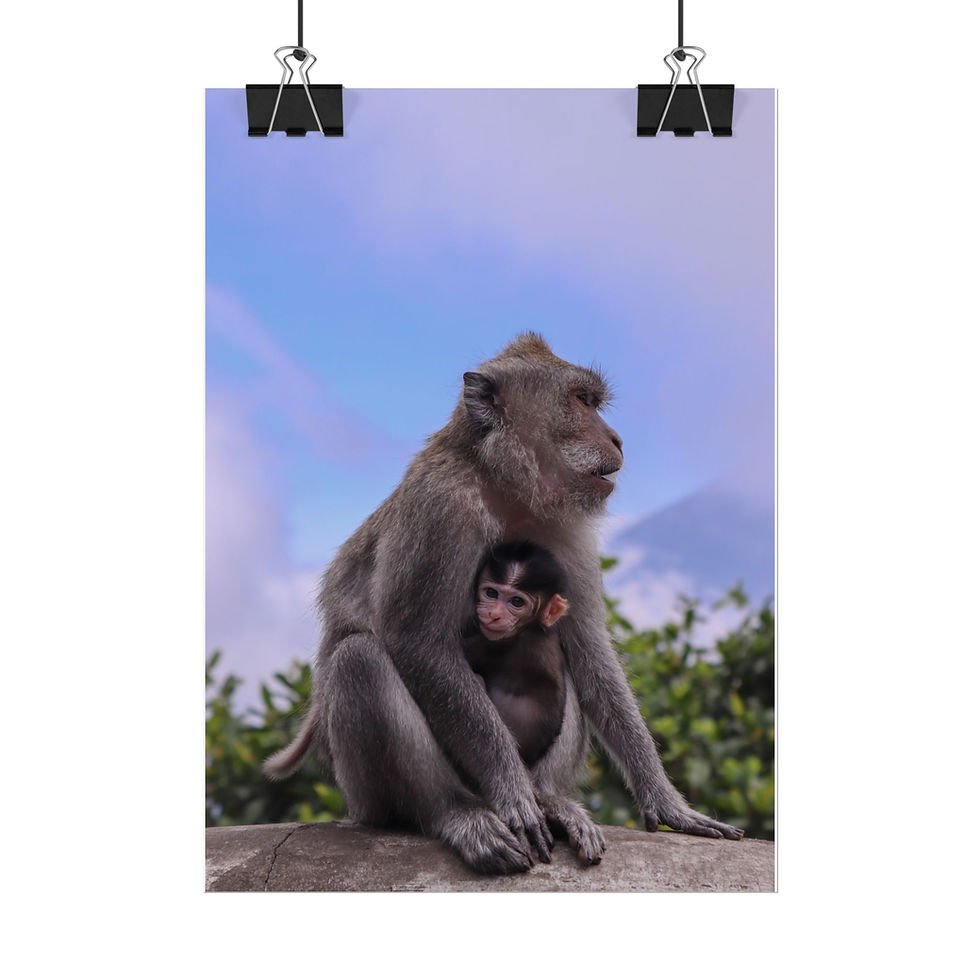 Thumbnail: Mother monkey cradling baby monkey, sitting outdoors with blue sky background.