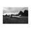 Thumbnail: Black & White Aviation Rolled Poster Print - Derelict Aeroplane