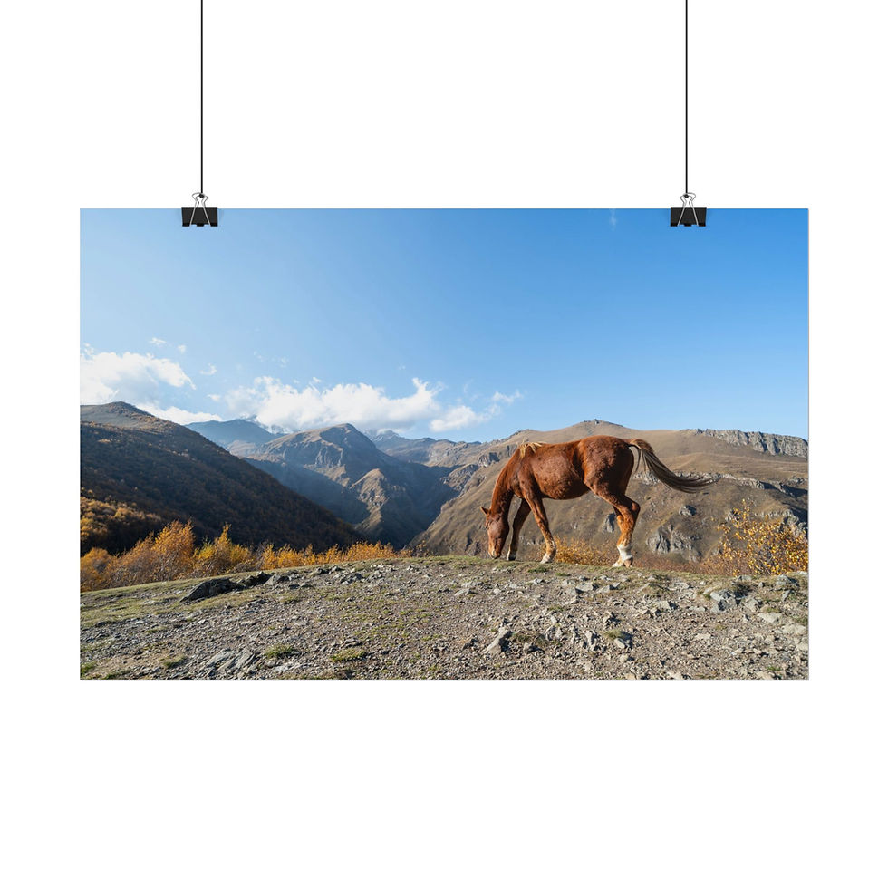 Thumbnail: Brown horse grazing on a mountain ridge under a clear blue sky.