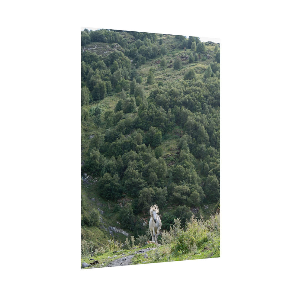 Thumbnail: Rolled Poster Print | Grey Horse in the Mountains of Kazbegi, Georgia Wall Art