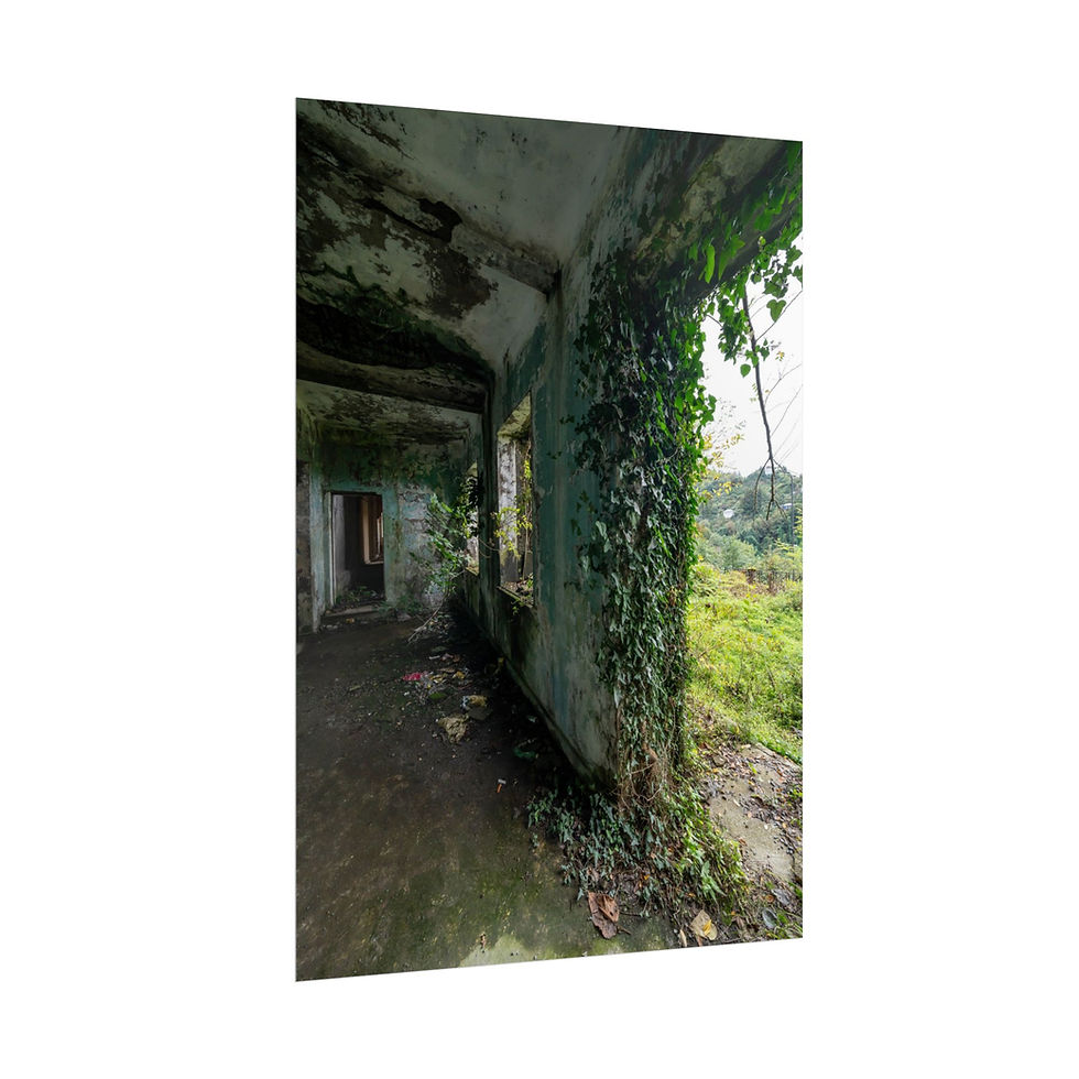 Thumbnail: Nature reclaiming abandoned building hallway, ivy growing on decaying walls.