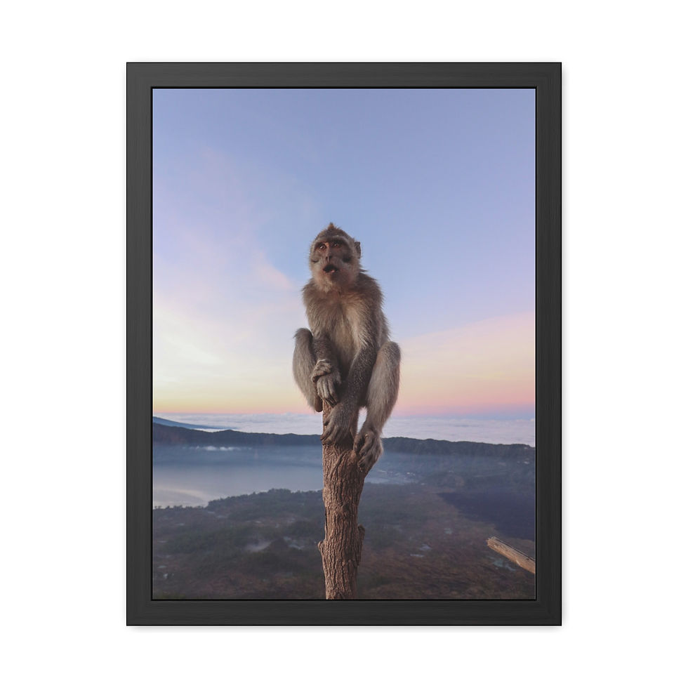 Thumbnail: Macaque monkey on tree stump, vibrant sunset sky, misty valley below.