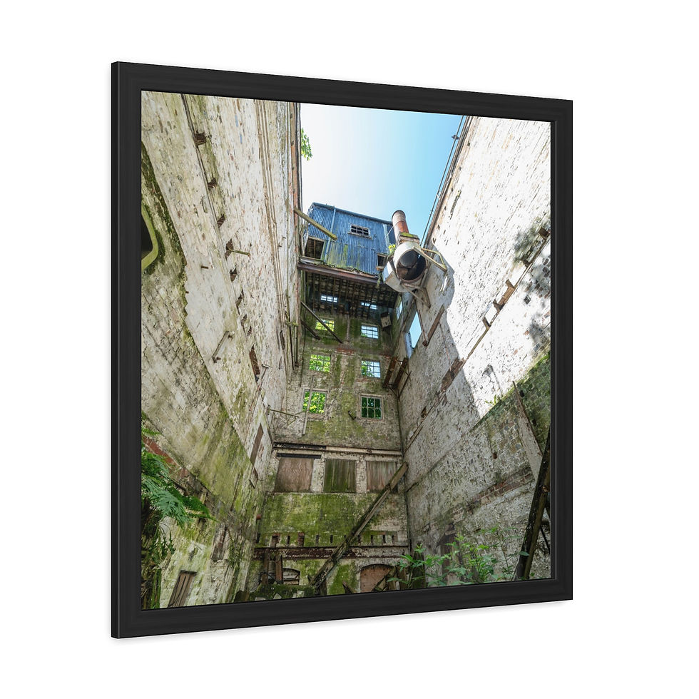 Thumbnail: Framed print of desolate, moss-covered industrial building interior looking upwards.