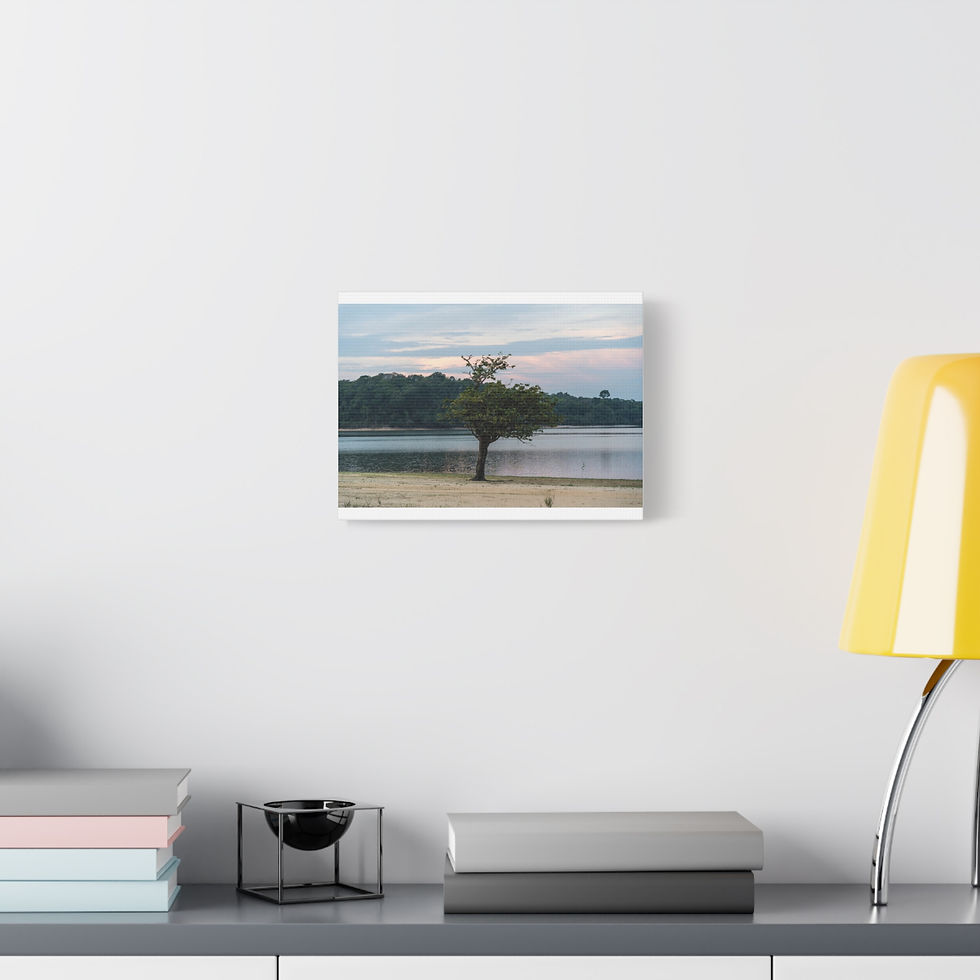 Thumbnail: Canvas Print - Tapajós River Sunrise Tree | Beach Wall Art