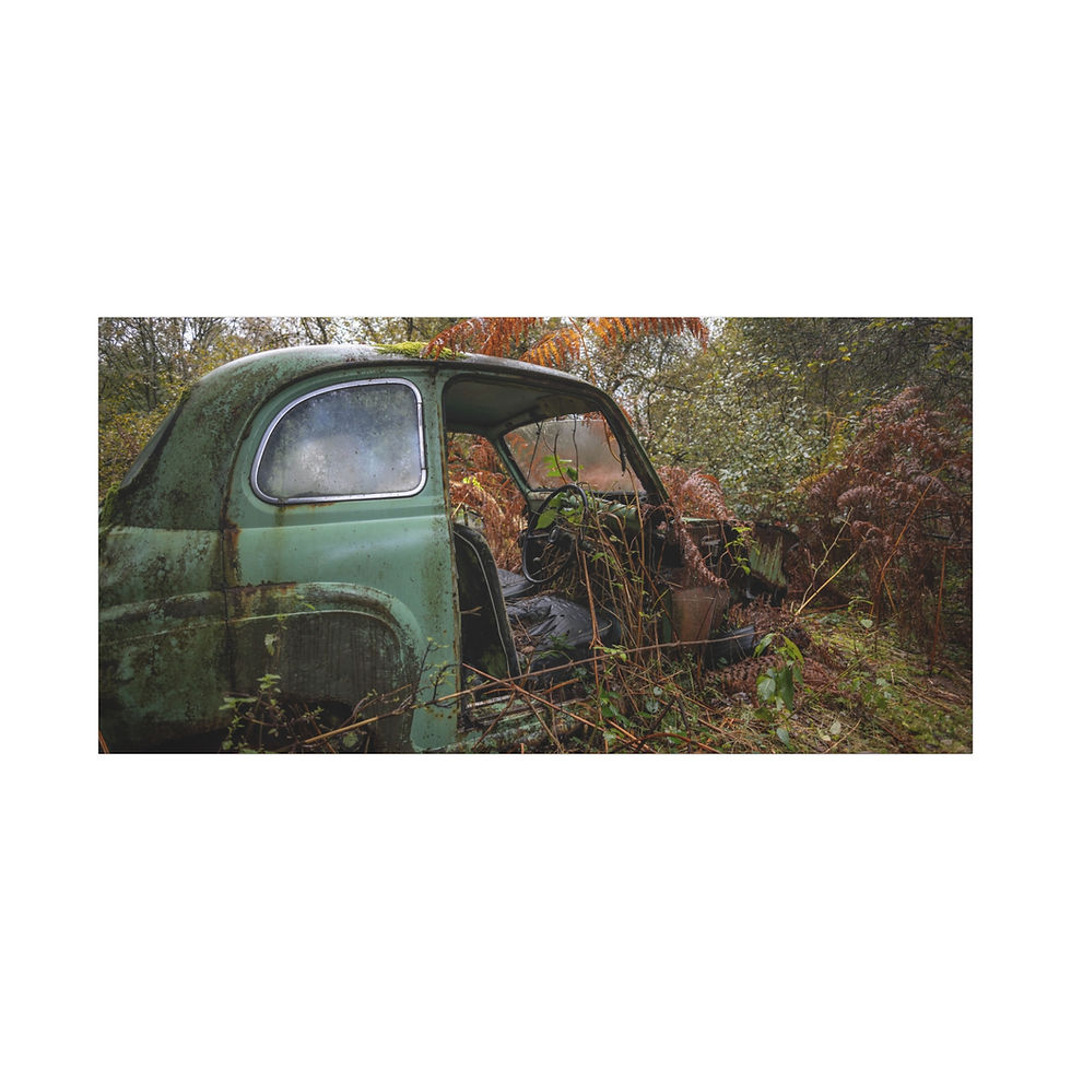Thumbnail: Old green rusted car abandoned in dense, vibrant autumn foliage.
