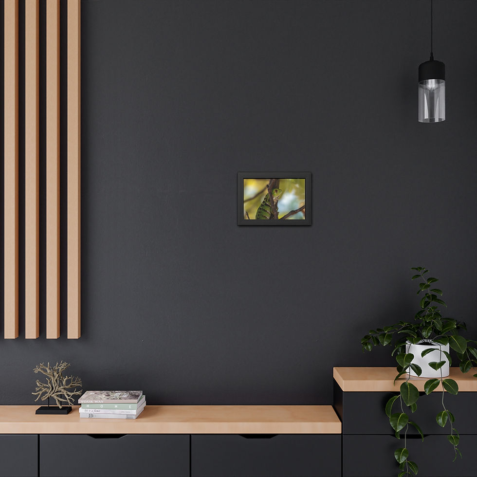 Thumbnail: Small framed art print on dark gray wall, modern home decor.